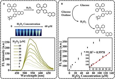 An Aggregation-Induced Emission-Based Indirect Competitive Immunoassay for Fluorescence “Turn-On” Detection of Drug Residues in Foodstuffs